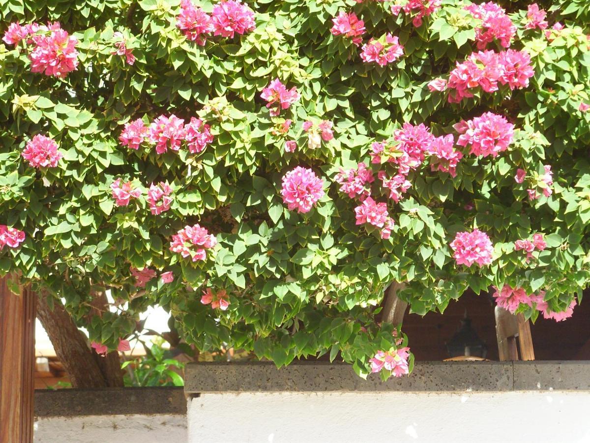 Casa La Tahonilla Apartment Tías Exterior foto